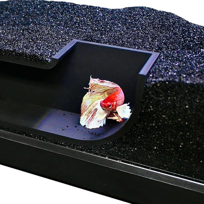 Colorful betta fish swimming in and out of betta underground hideout tunnel cave.