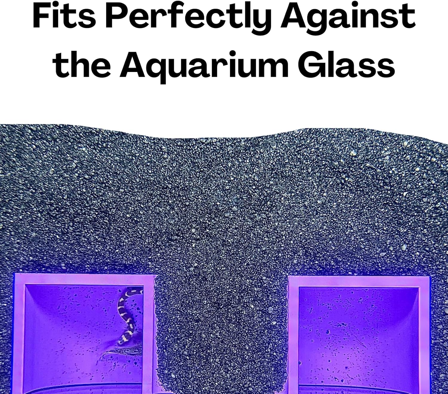 Purple betta underground hideout tunnel cave fits perfectly against the aquarium glass. 