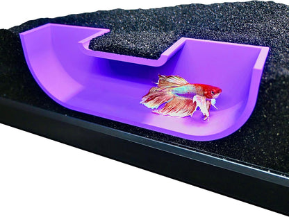 Underground purple betta hideout tunnel cave with betta fish swimming inside of it.