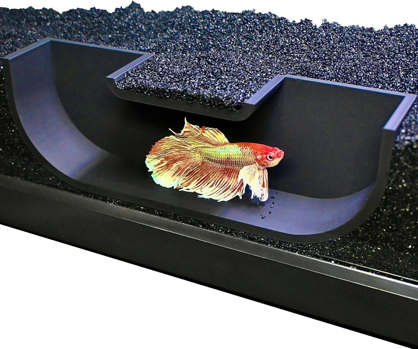 Underground black betta hideout tunnel cave with betta fish swimming inside of it.