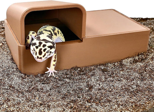 Leopard gecko and reptile underground cave with Leopard gecko crawling out