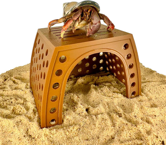 Hermit crab on top of hermit crab climbing hut hideout. Provides a cave and decor to habitat.