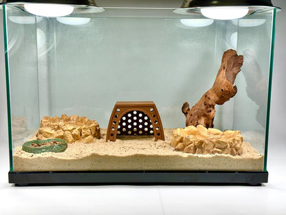 Hermit crab climbing hideout hut in natural hermit crab habitat tank. 