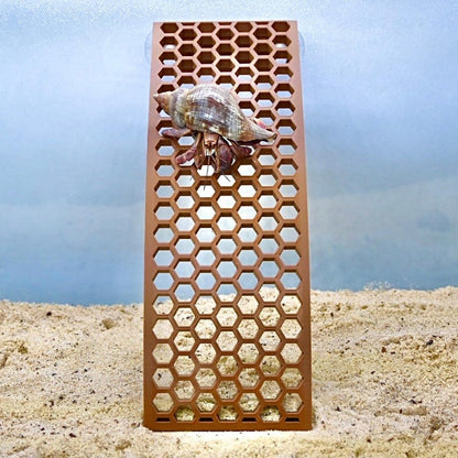 Hermit crab climbing on ladder ramp with hexagonal design for easy climbing. Provides enrichment and decor to the tank.