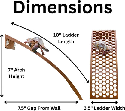 Dimensions of hermit crab ramp climbing ladder with length, height, width, and gap from wall. 