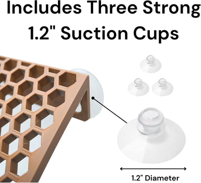 Hermit crab climbing ramp ladder that includes three strong suction cups. Provides dimensions of suction cups.