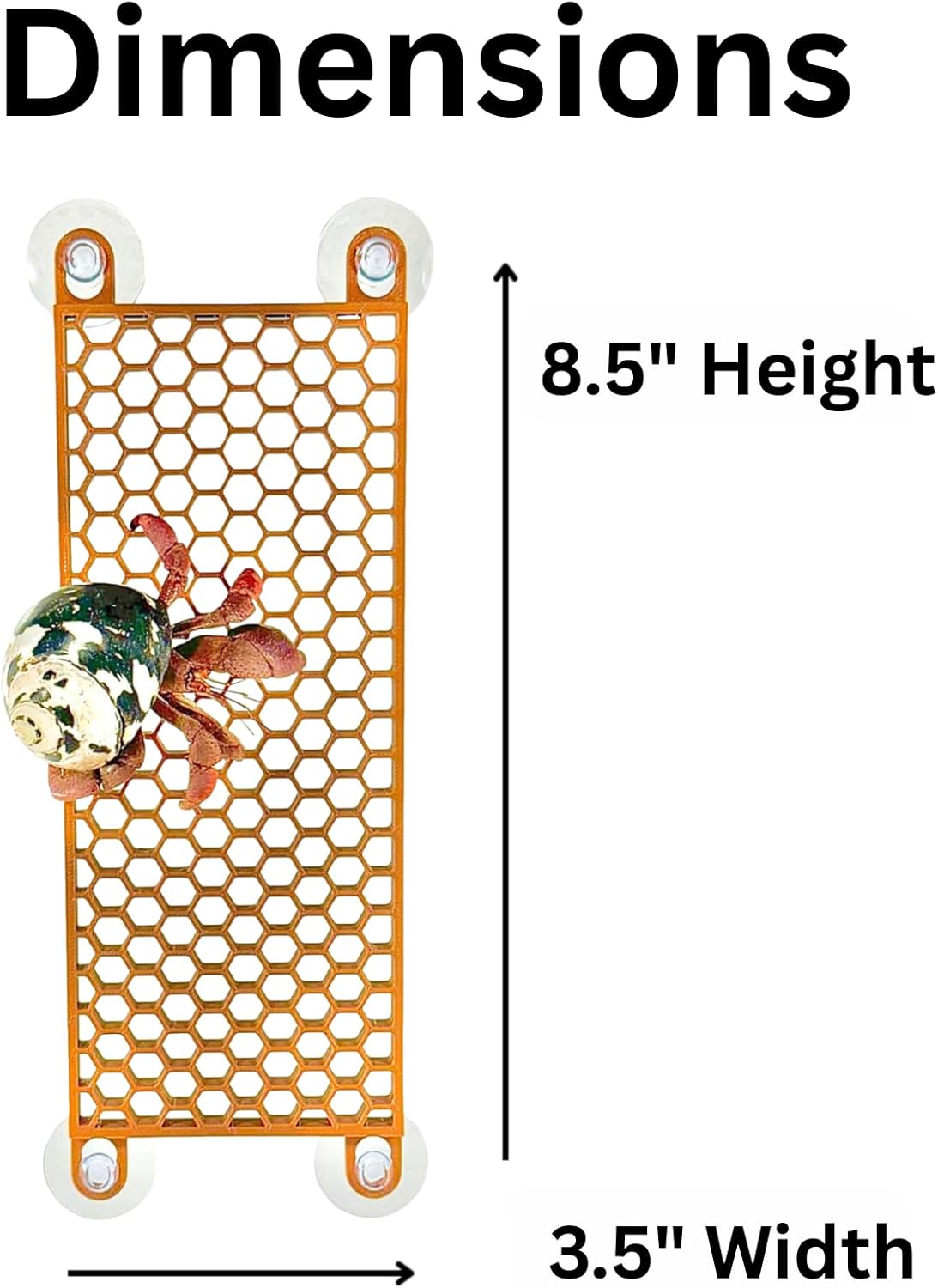 Hermit crab wall climbing ladder dimensions including height and width.
