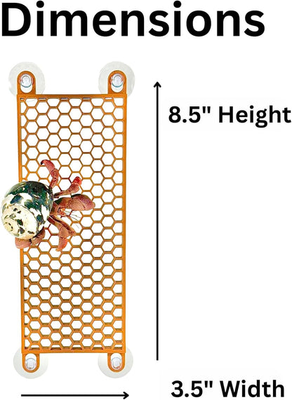 Hermit crab wall climbing ladder dimensions including height and width.