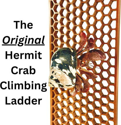 Hermit crab wall climbing ladder original design.