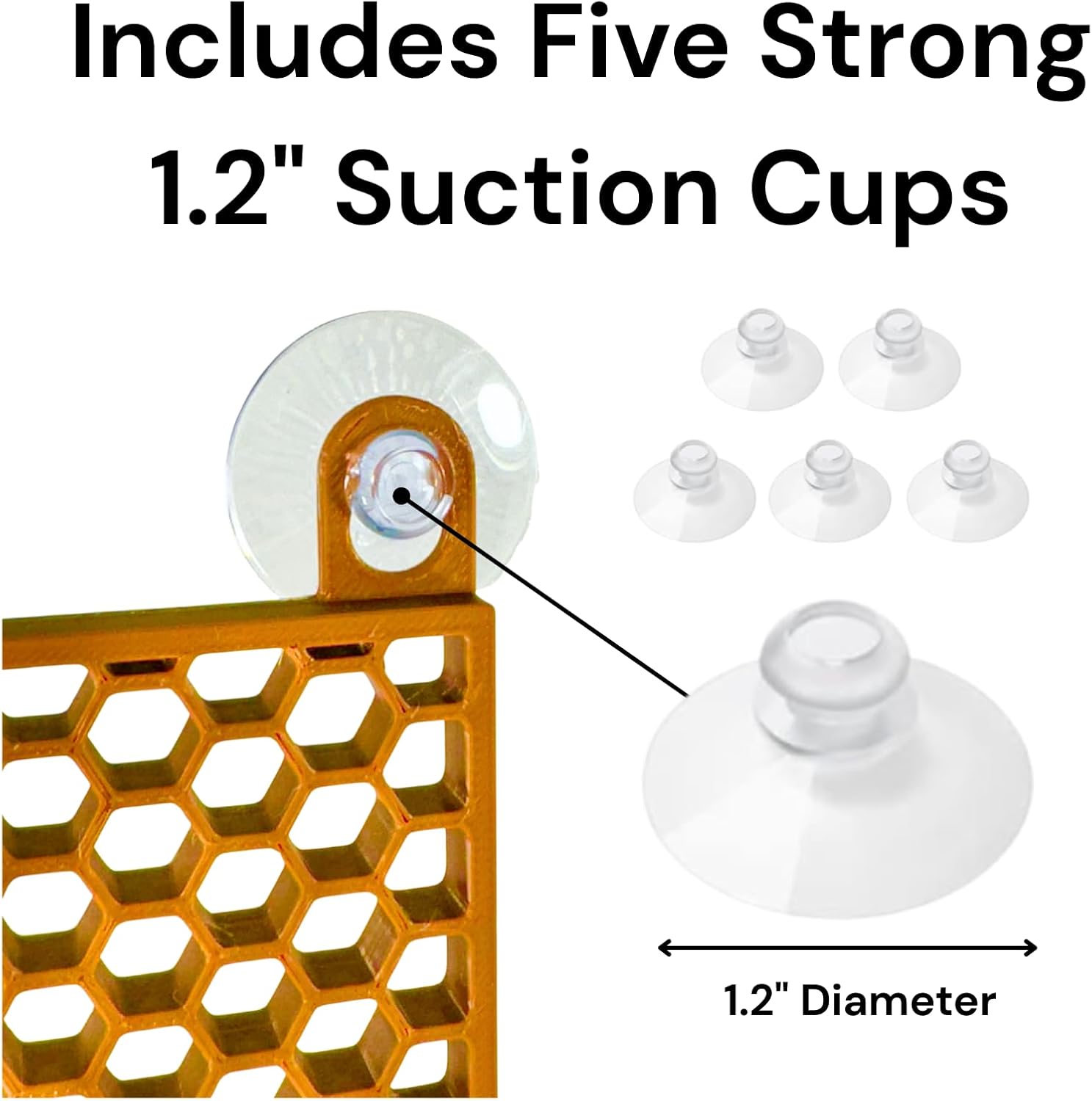 Hermit crab wall climbing ladder includes 5 strong suctions cups with dimensions.