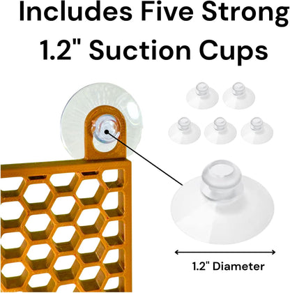 Hermit crab wall climbing ladder includes 5 strong suctions cups with dimensions.