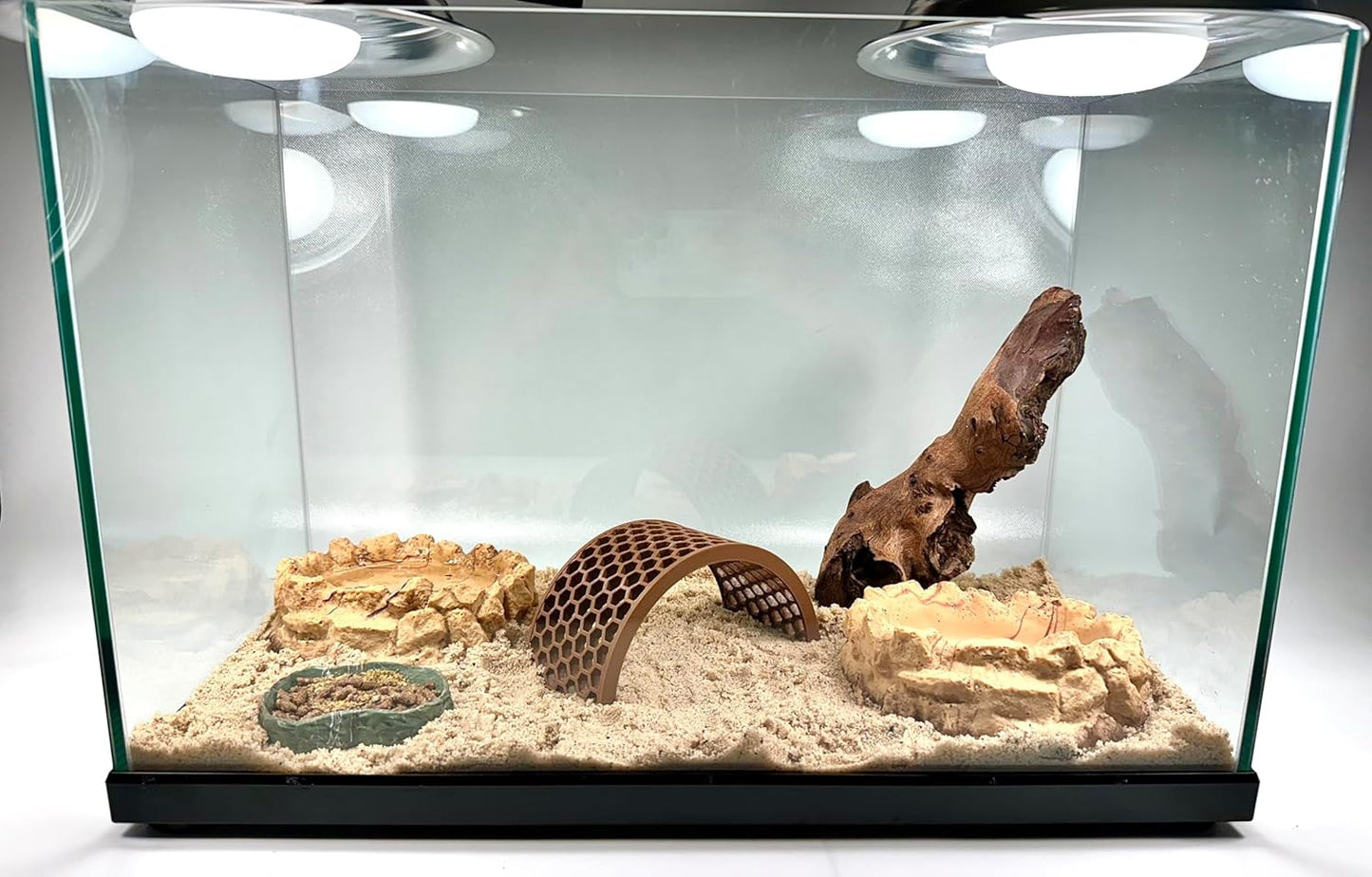 Hermit crab habitat with climbing bridge. Provides decoration and enrichment for hermit crabs.