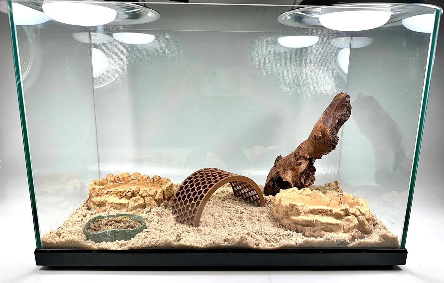 Hermit crab habitat with climbing bridge. Provides decoration and enrichment for hermit crabs.