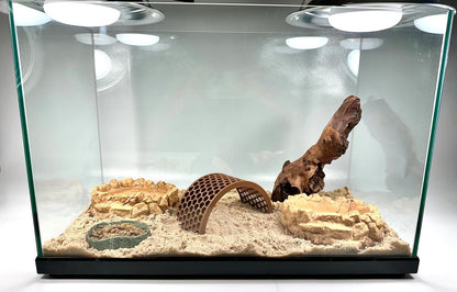 Hermit crab habitat with climbing bridge. Provides decoration and enrichment for hermit crabs.