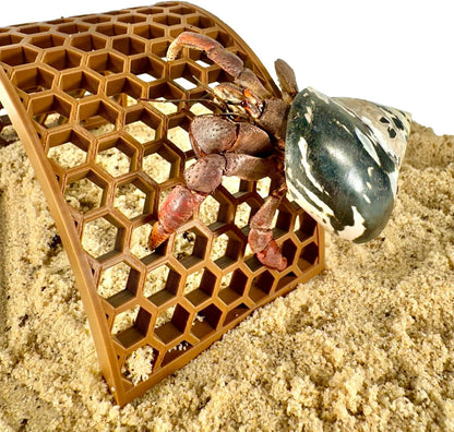 Hermit crab climbing on the side of the climbing bridge. Hexagonal design for easy hermit crab climbing.