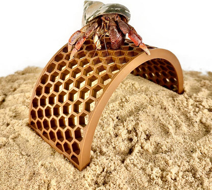 Hermit crab climbing on the climbing bridge with hexagonal design. 