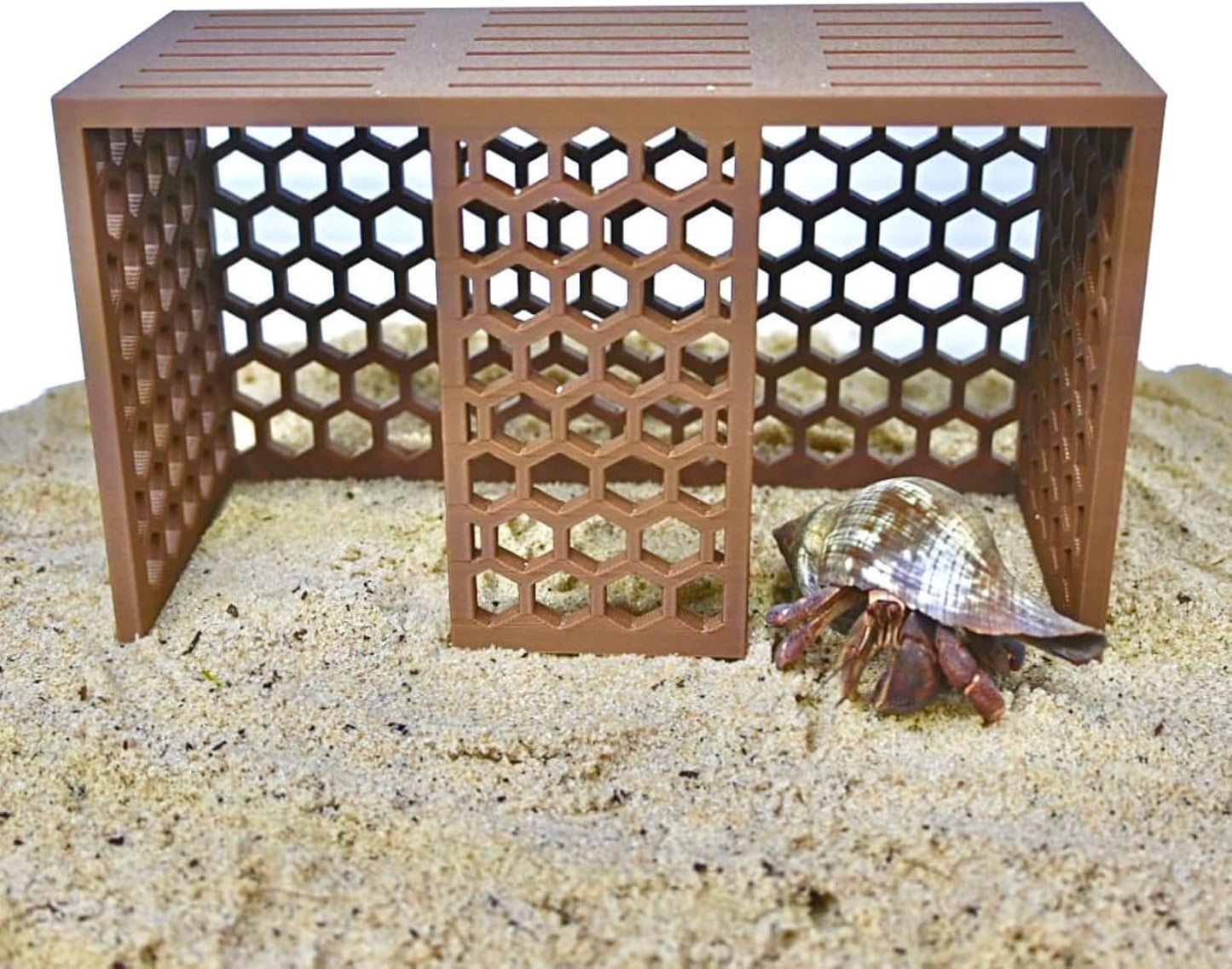 Hermit crab climbing toy stand provides enrichment. Demonstrates hermit crab climbing inside the stand.