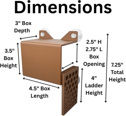 Hermit crab climbing wall foraging basket dimensions with depth, box height, box length, box opening dimensions, ladder height and total height. 