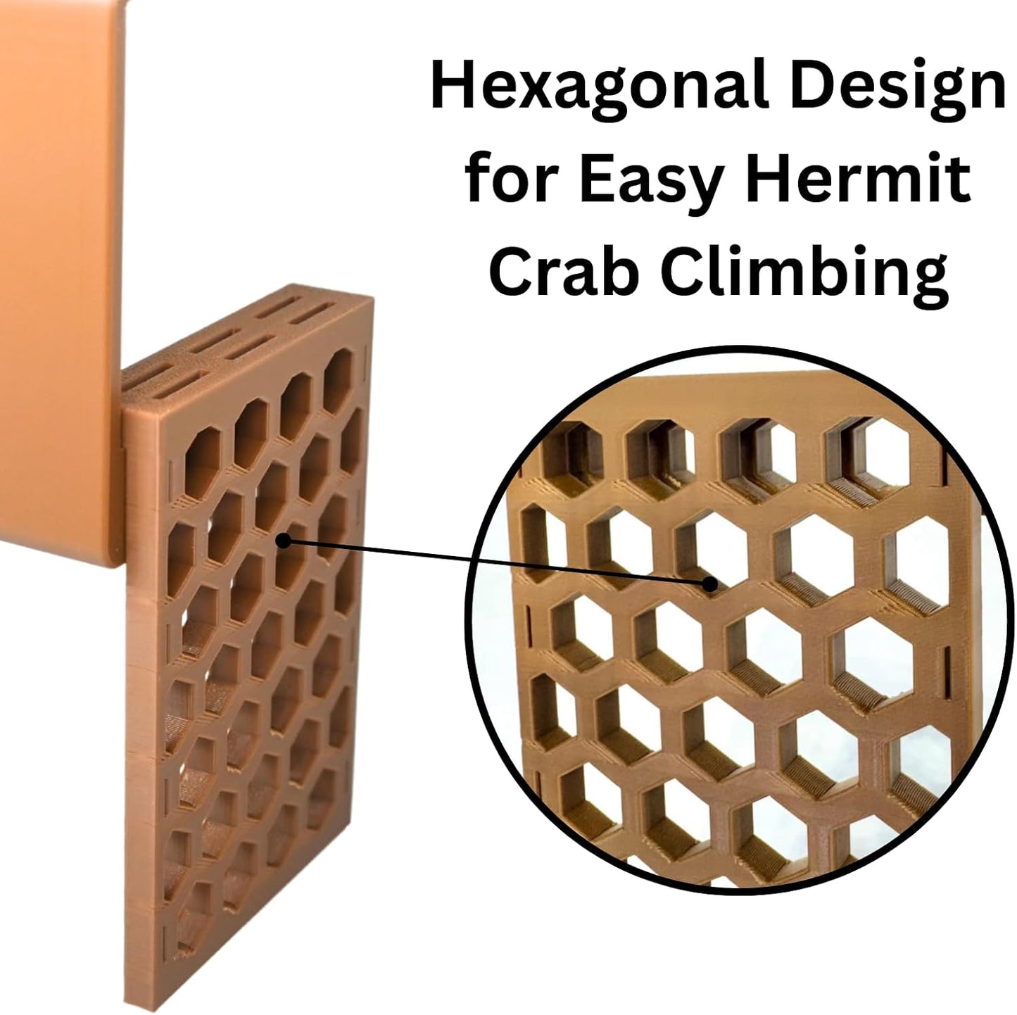 Hexagonal design for easy hermit crab climbing for climbing wall foraging basket with ladder.