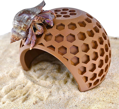 Hermit crab climbing on the outside of coconut hideout cave. 