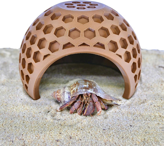 Hermit crab climbing out of hermit crab coconut climbing hide with hexagonal climbing design.