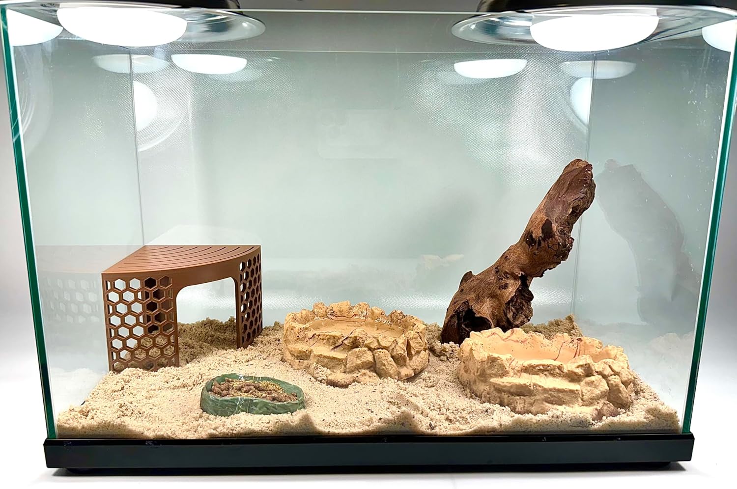 Hermit crab corner climbing stand in a hermit crab habitat. Provides enrichment and a climbing platform for hermit crabs.