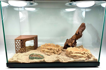 Hermit crab corner climbing stand in a hermit crab habitat. Provides enrichment and a climbing platform for hermit crabs.