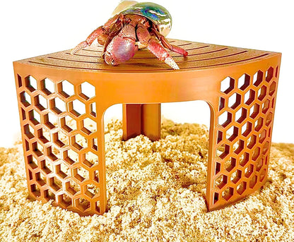 Hermit crab on top of hermit crab corner climbing stand with hexagonal design sides for easy climbing.