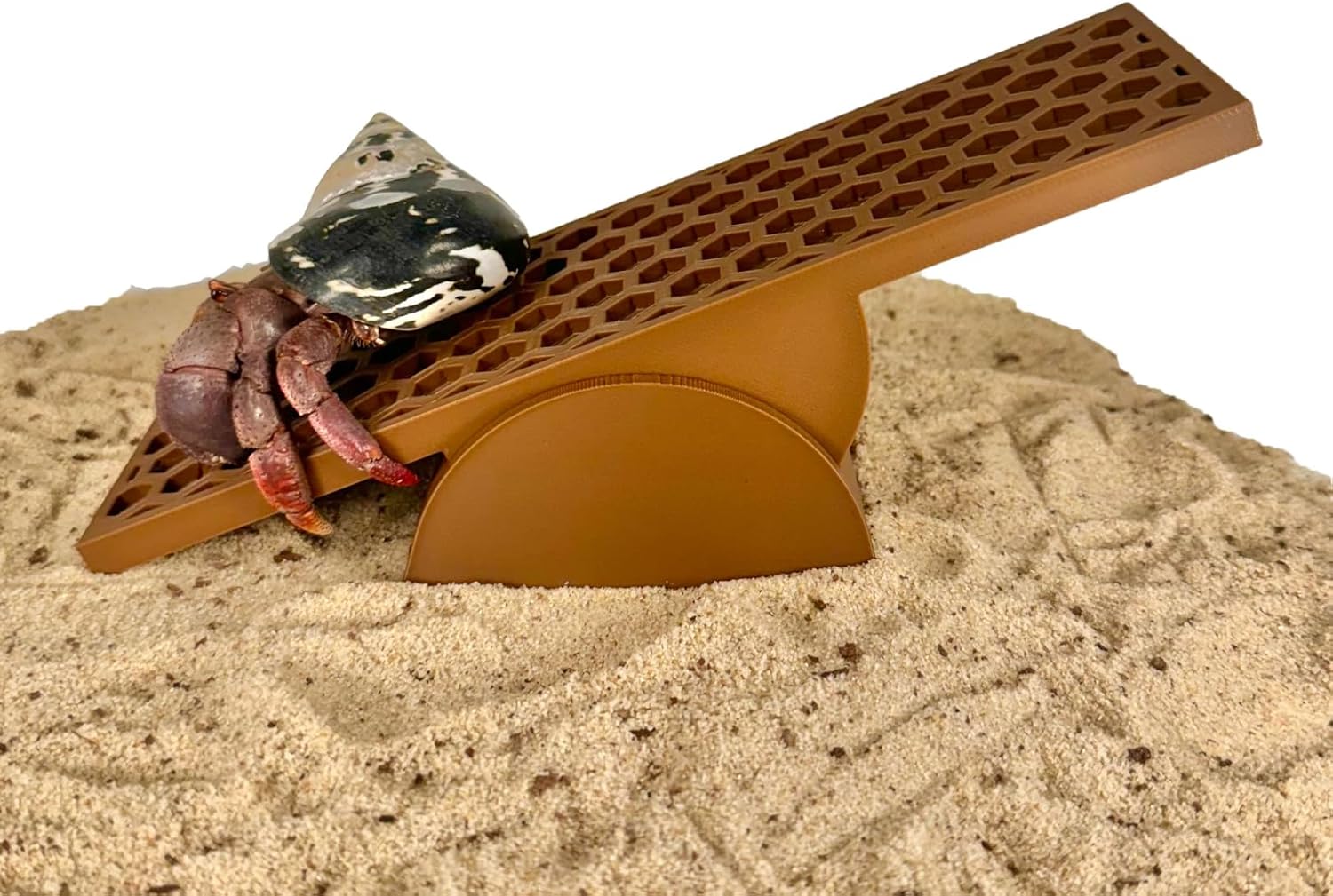 Hermit crab seesaw toy with hermit crab climbing down seesaw ornament.