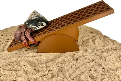 Hermit crab seesaw toy with hermit crab climbing down seesaw ornament.
