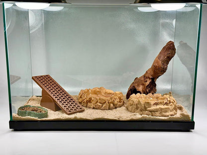 Hermit crab habitat with seesaw toy in tank that provides enrichment and decoration to the tank.