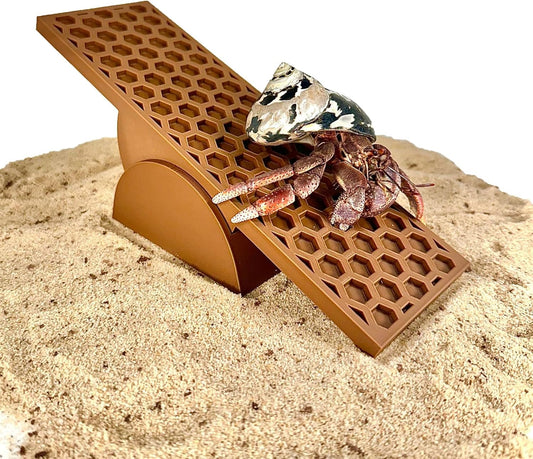 Hermit crab climbing down the toy seesaw in habitat with white sand in tank.