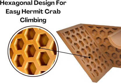 Hexagonal design for easy hermit crab climbing on underground viewing tunnel cave.