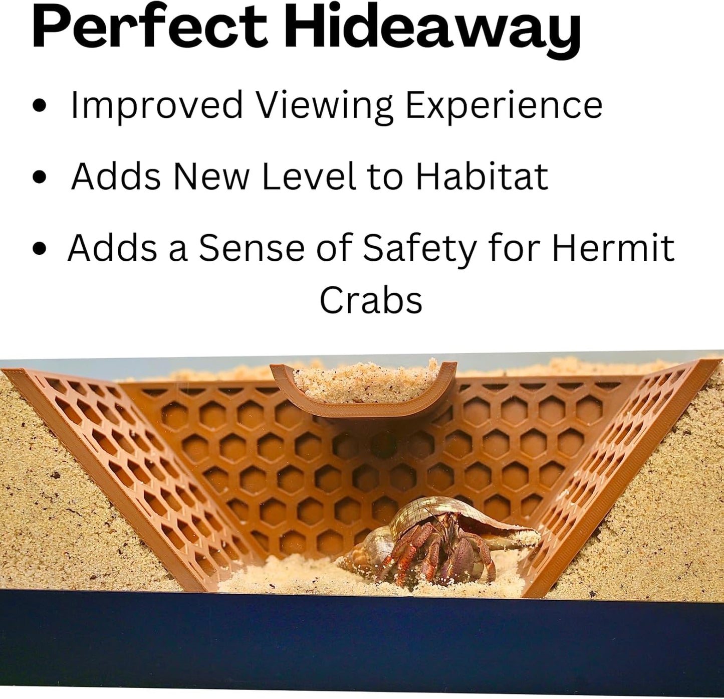 Hermit crab inside hermit crab climbing tunnel. Perfect hideaway by improving viewing experience, adding a new level to the habitat, and adding a sense of safety for hermit crabs.