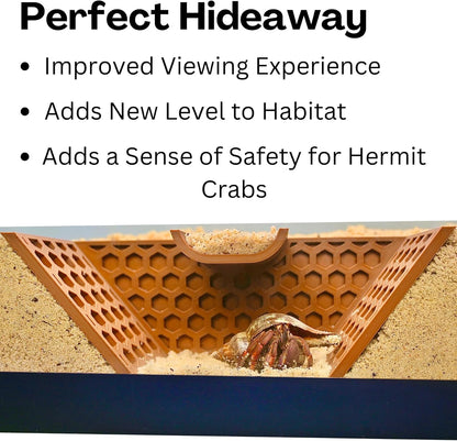 Hermit crab inside hermit crab climbing tunnel. Perfect hideaway by improving viewing experience, adding a new level to the habitat, and adding a sense of safety for hermit crabs.