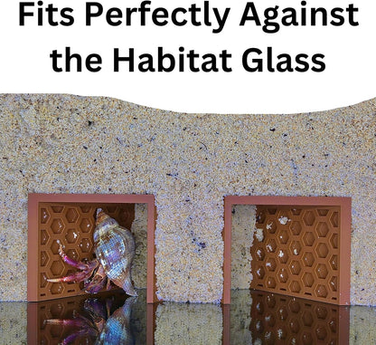 Hermit crab climbing the underground climbing tunnel that fits perfectly against the habitat glass.