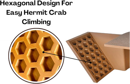 Hermit Crab Underground Cave