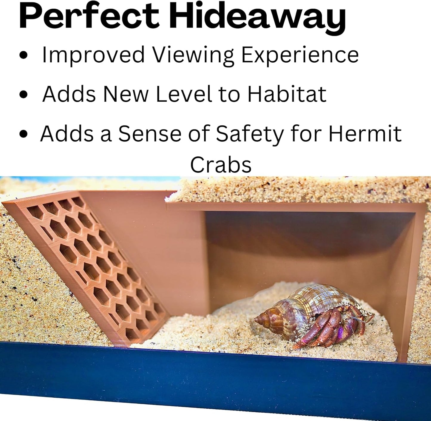 Hermit Crab Underground Cave
