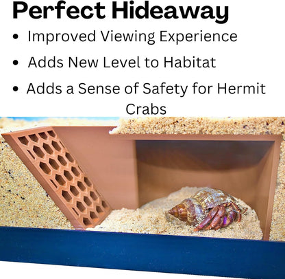 Hermit Crab Underground Cave