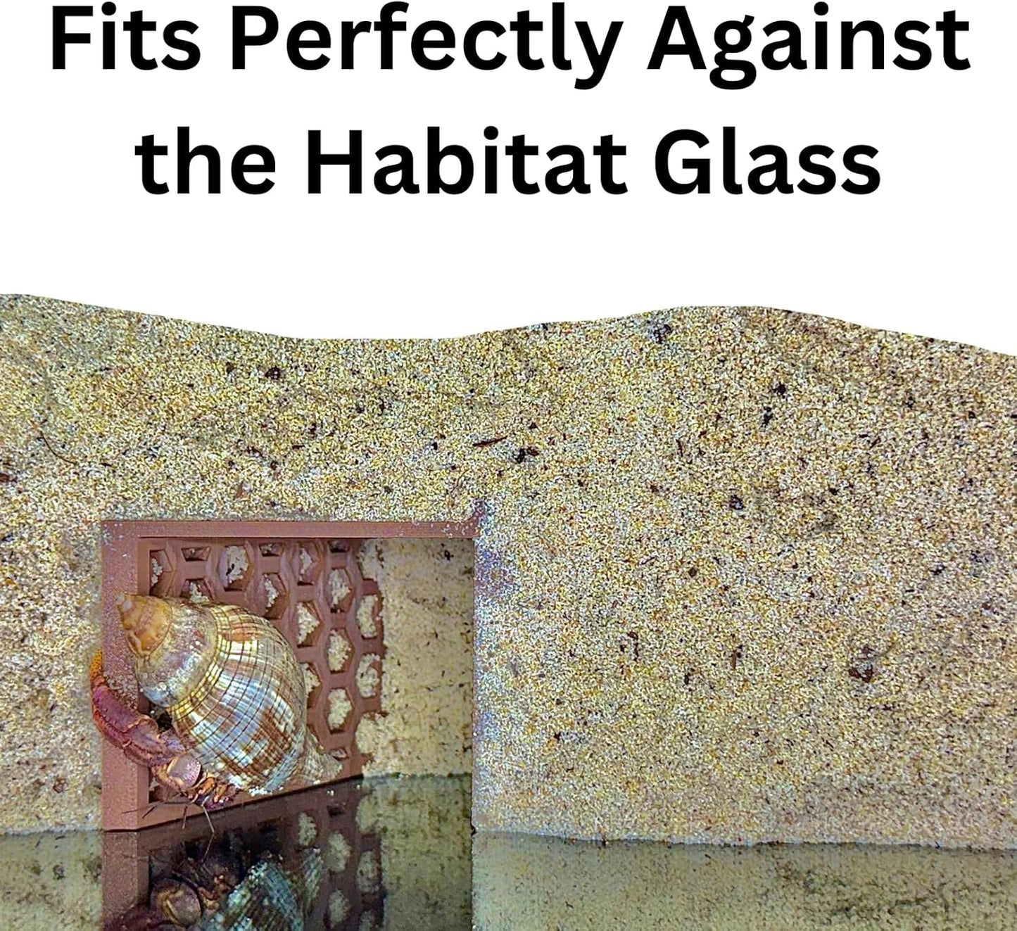 Hermit Crab Underground Cave