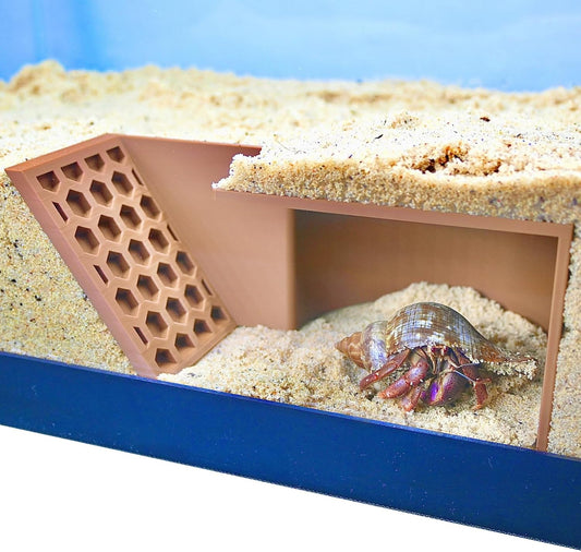 Hermit Crab Underground Cave