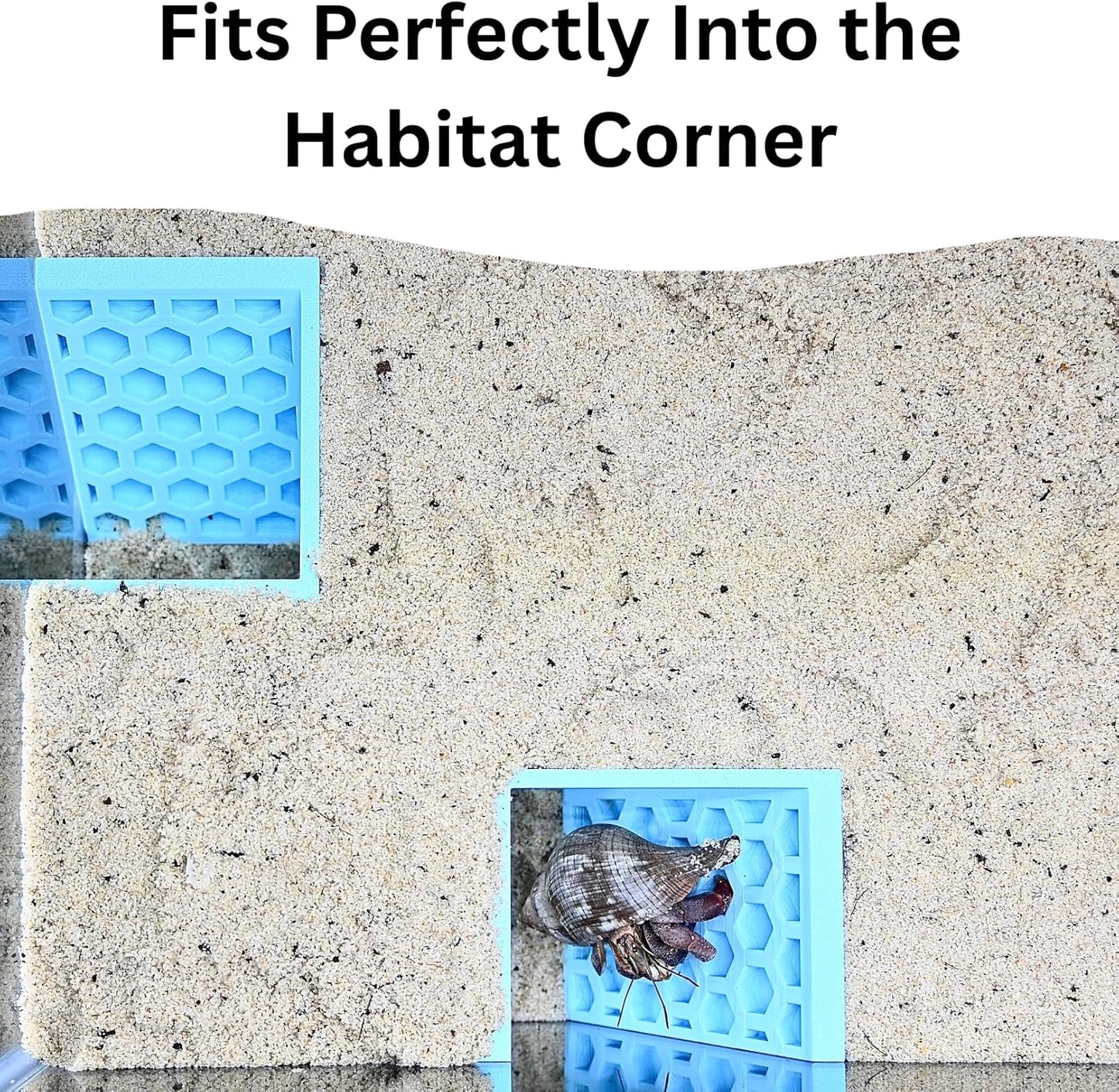 Hermit Crab Underground Tunnel Cave Corner | Hermit Crab Climbing Hide