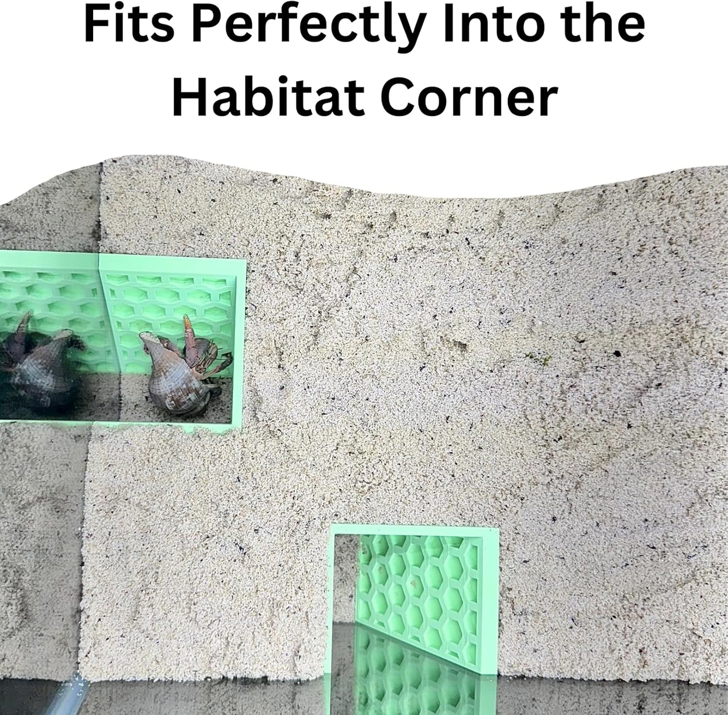 Hermit Crab Underground Tunnel Cave Corner | Hermit Crab Climbing Hide