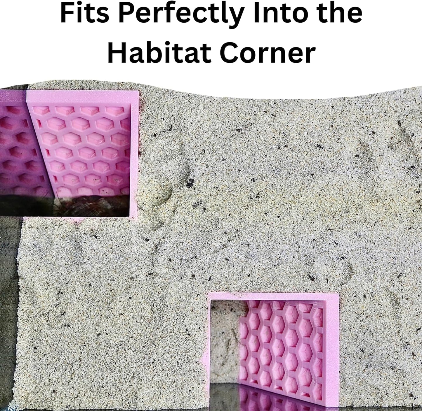 Hermit Crab Underground Tunnel Cave Corner | Hermit Crab Climbing Hide