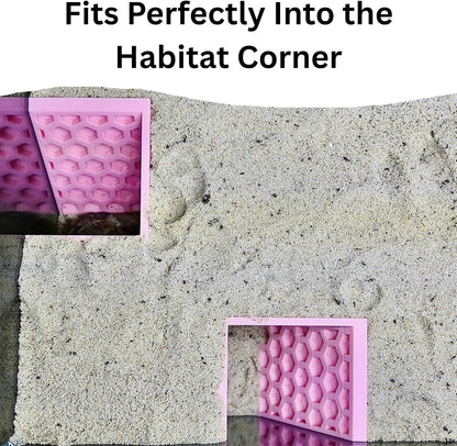 Hermit Crab Underground Tunnel Cave Corner | Hermit Crab Climbing Hide