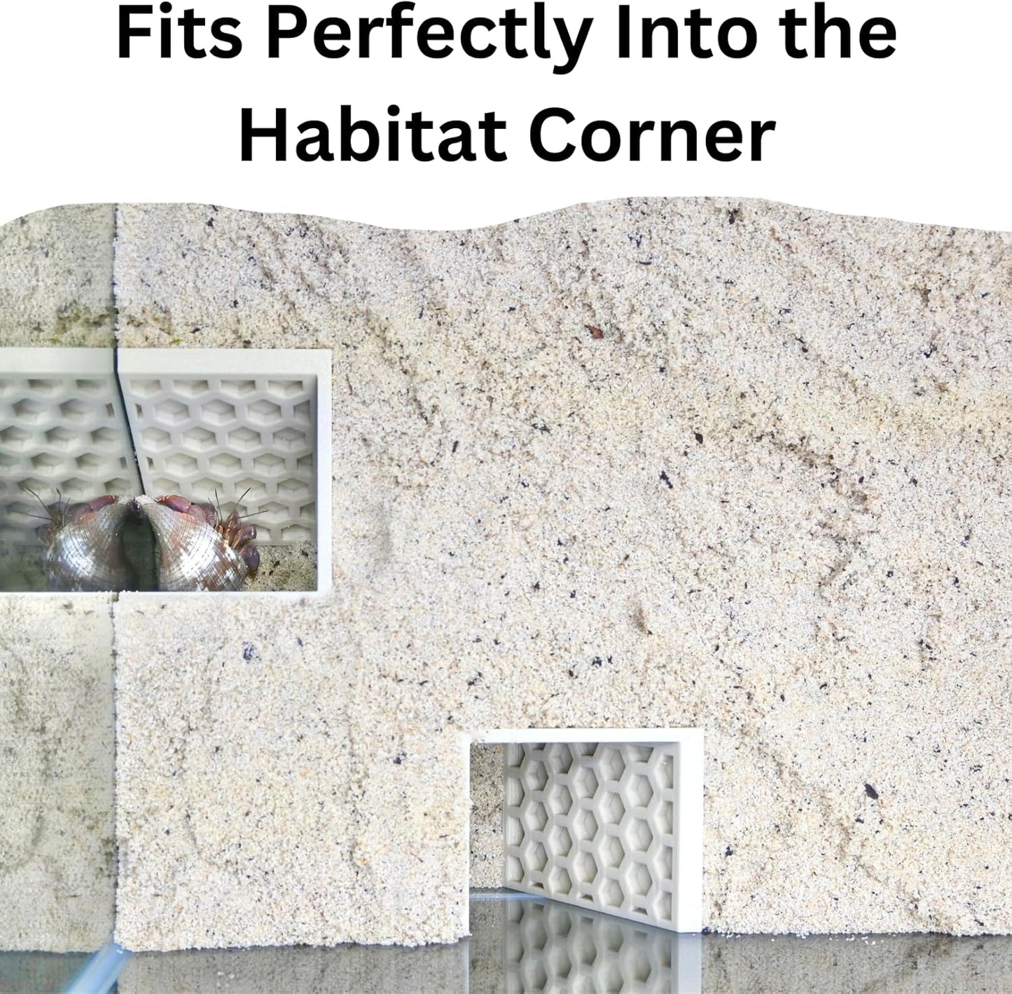 Hermit Crab Underground Tunnel Cave Corner | Hermit Crab Climbing Hide