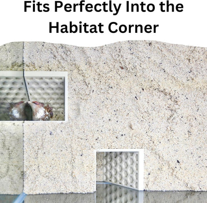 Hermit Crab Underground Tunnel Cave Corner | Hermit Crab Climbing Hide