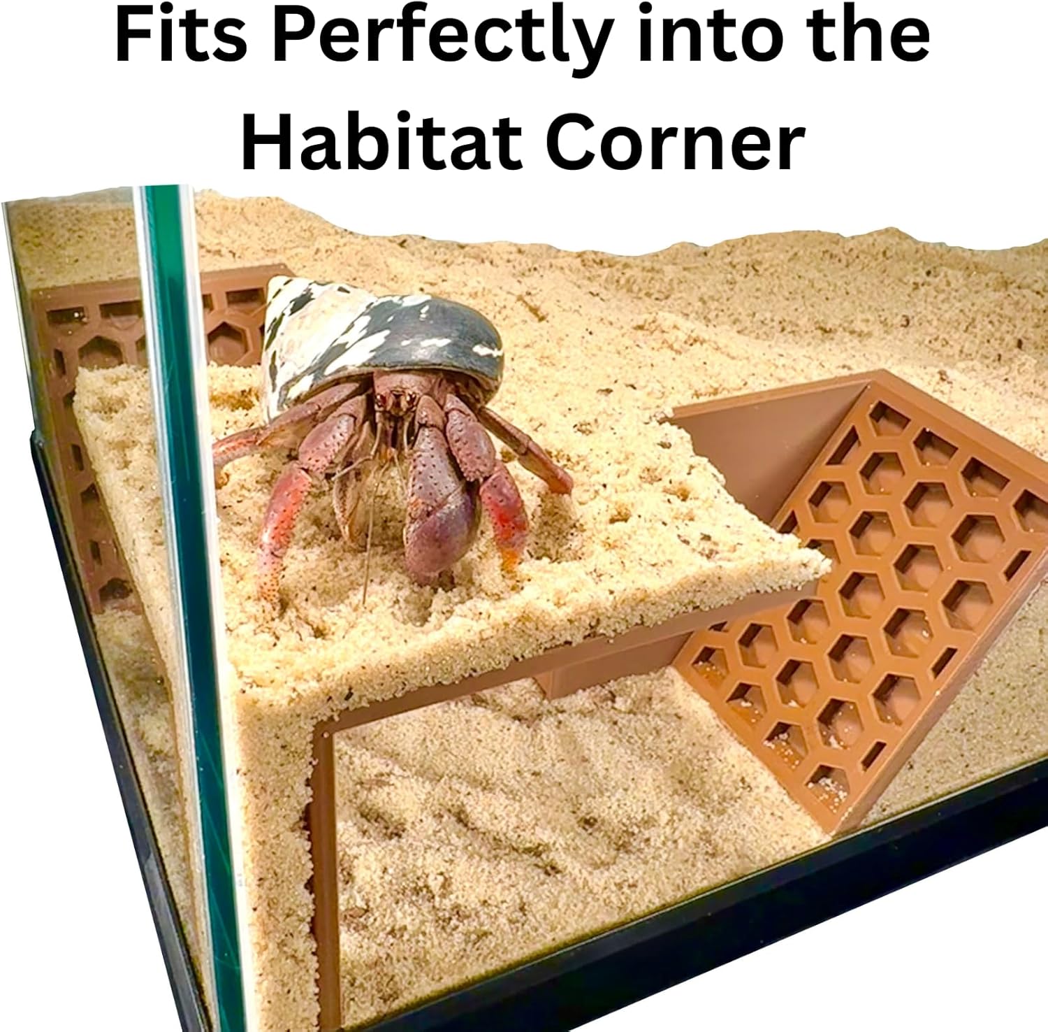 Hermit crab corner underground tunnel cave fits perfectly into habitat corner. 