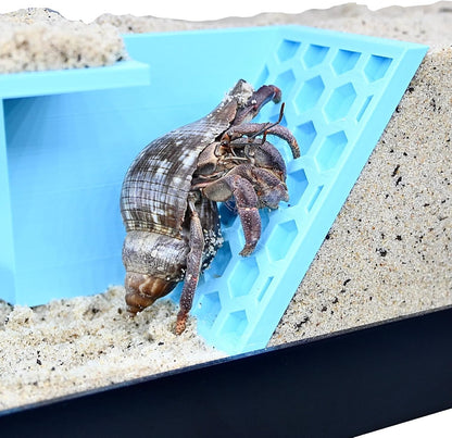 Hermit Crab Underground Tunnel Cave Corner | Hermit Crab Climbing Hide