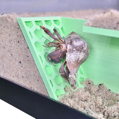 Hermit Crab Underground Tunnel Cave Corner | Hermit Crab Climbing Hide